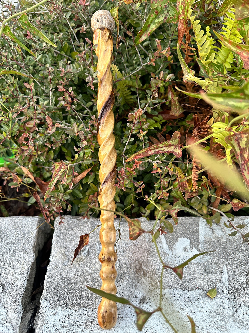 Druzy calcite wand  image 2
