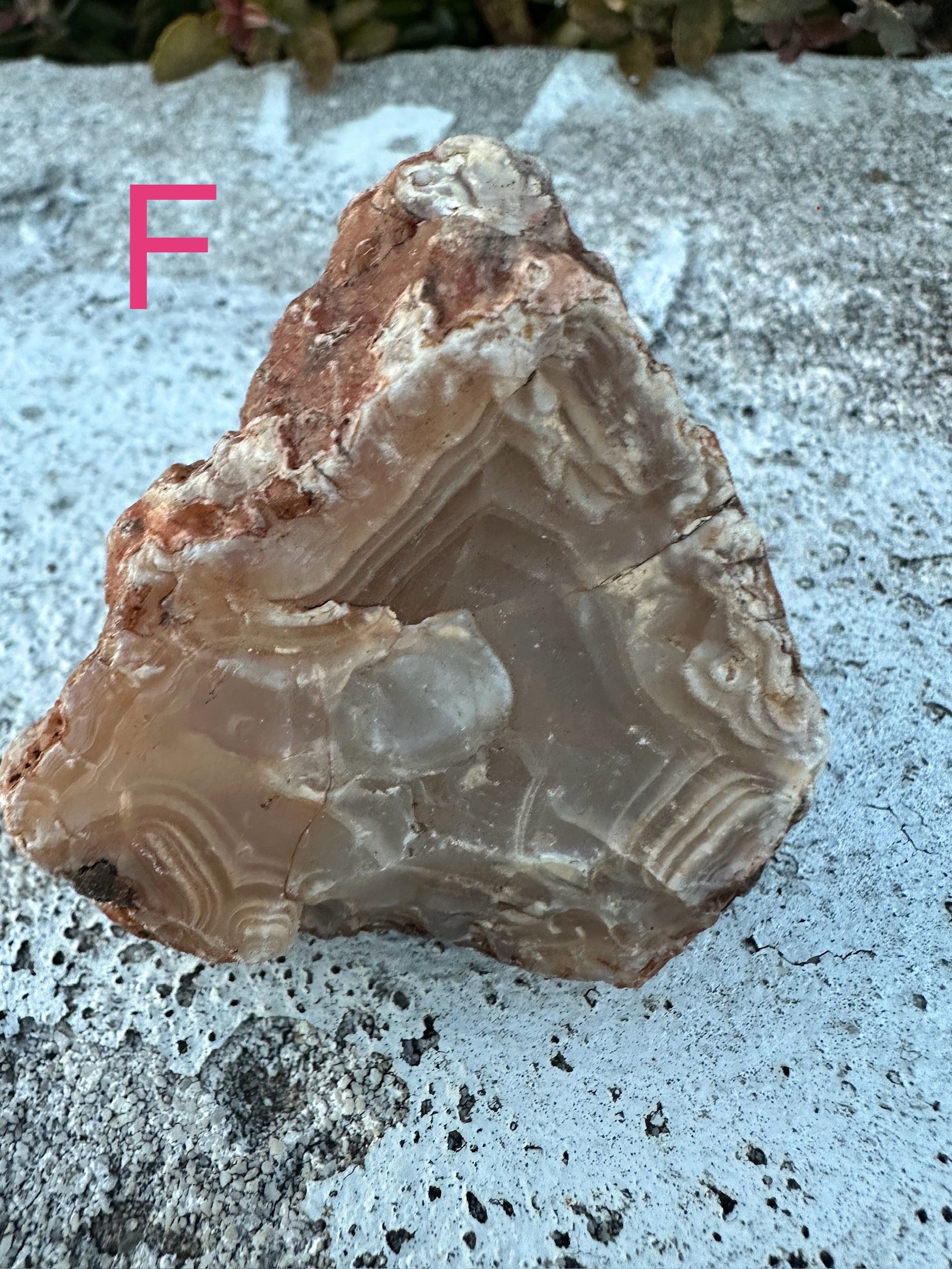 Red Agate image 6