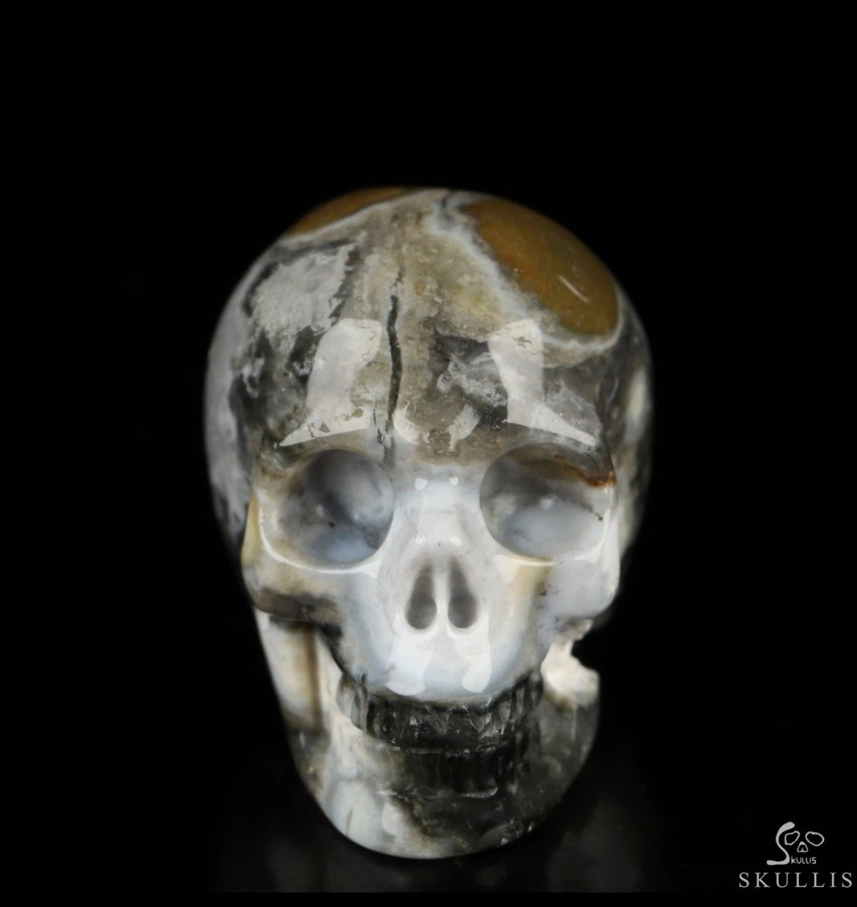 Ocean Jasper Skull