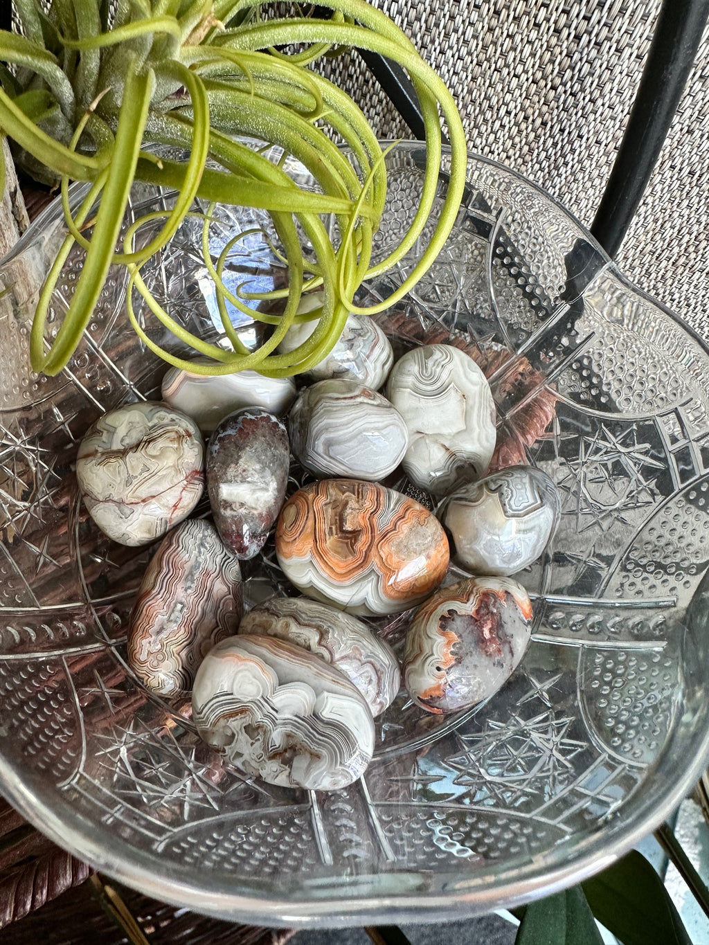 Crazy lace tumble  image 0