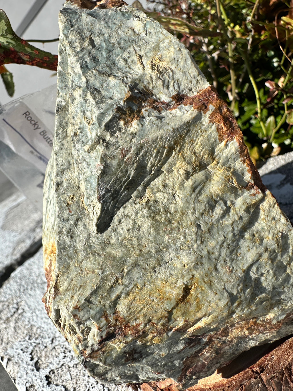 Rocky Butte picture jasper  image 3