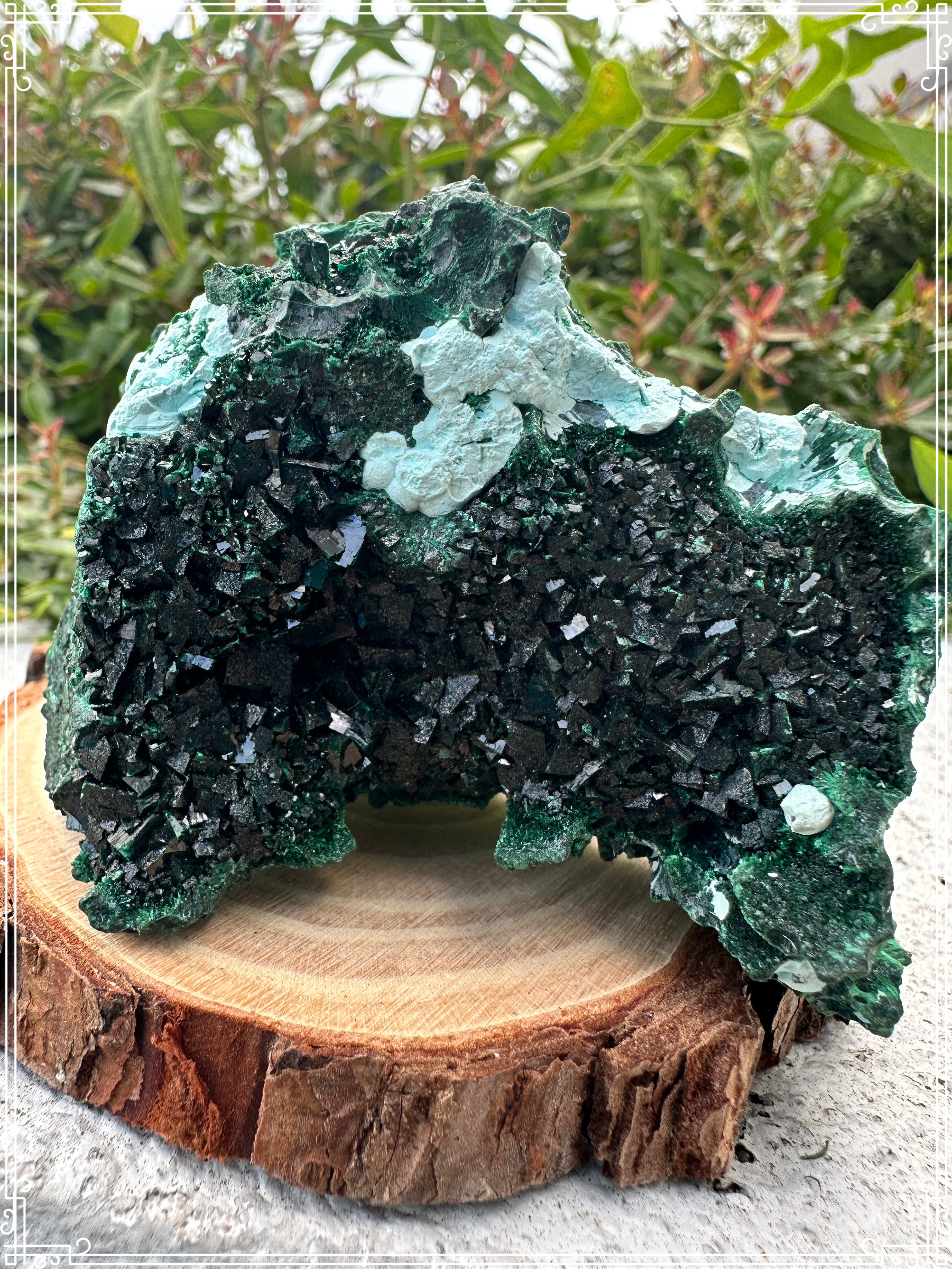 Malachite w/ Libethenite & Chrysocolla  image 3