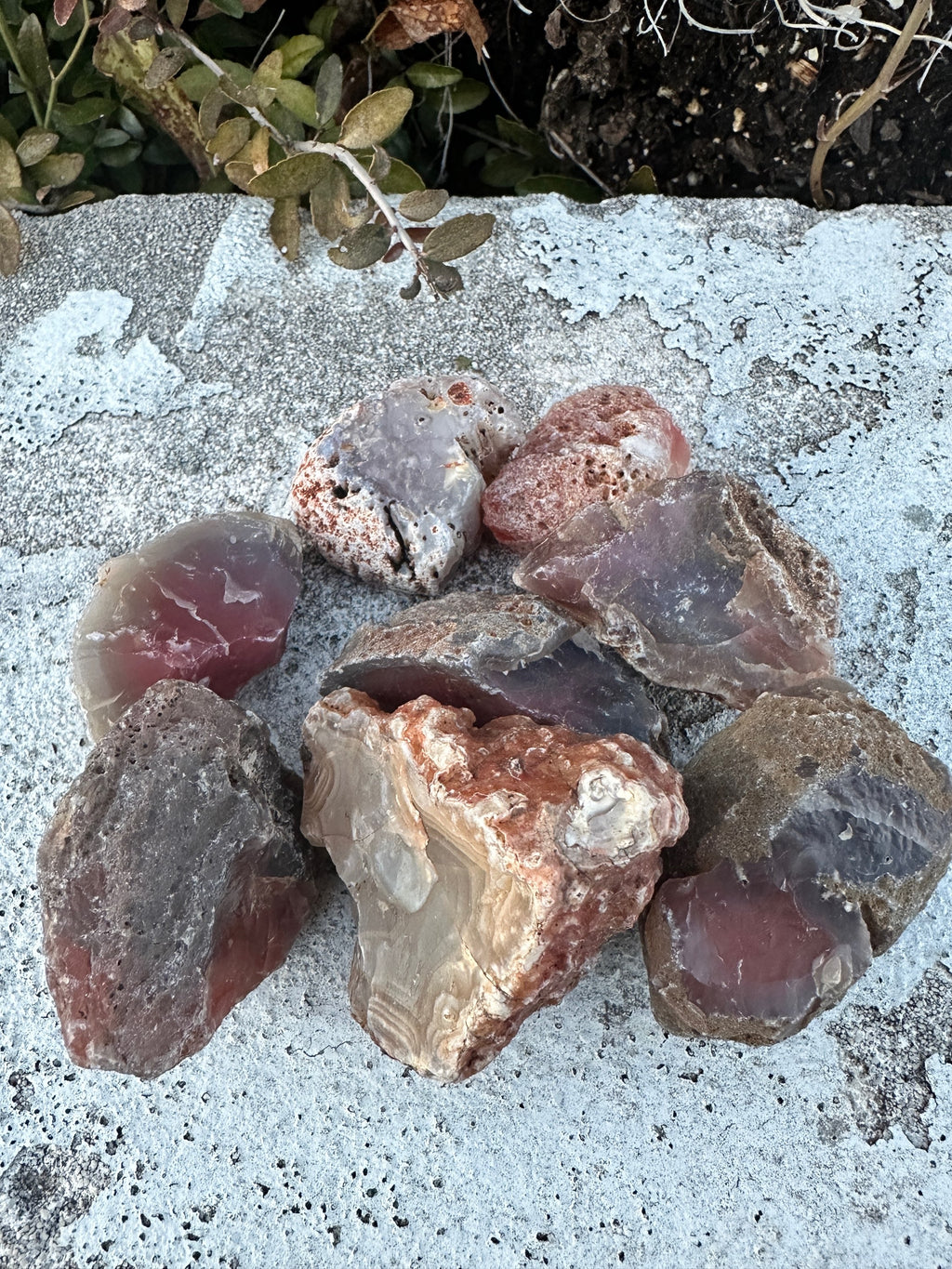 Red Agate image 0