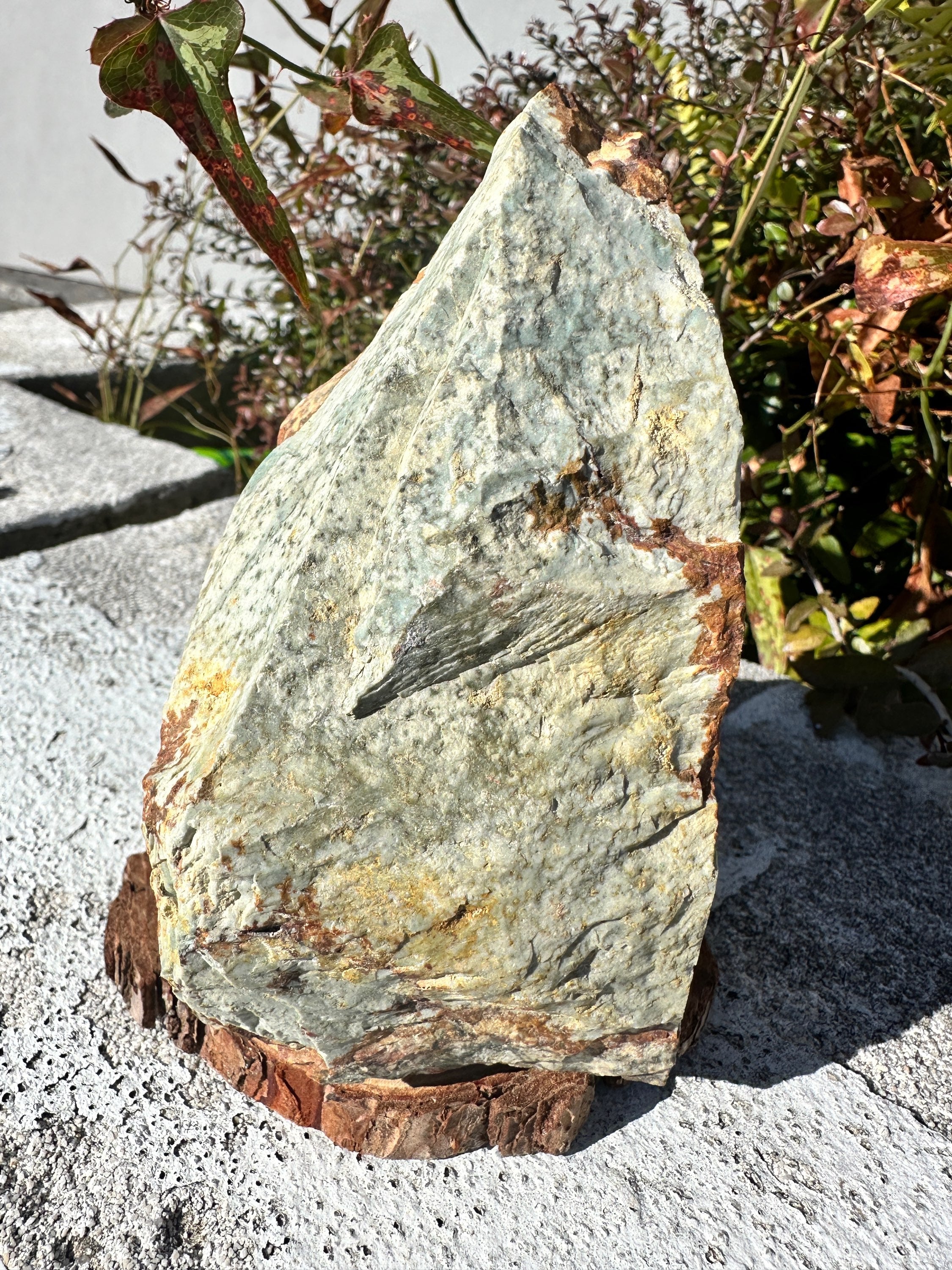 Rocky Butte picture jasper  image 2