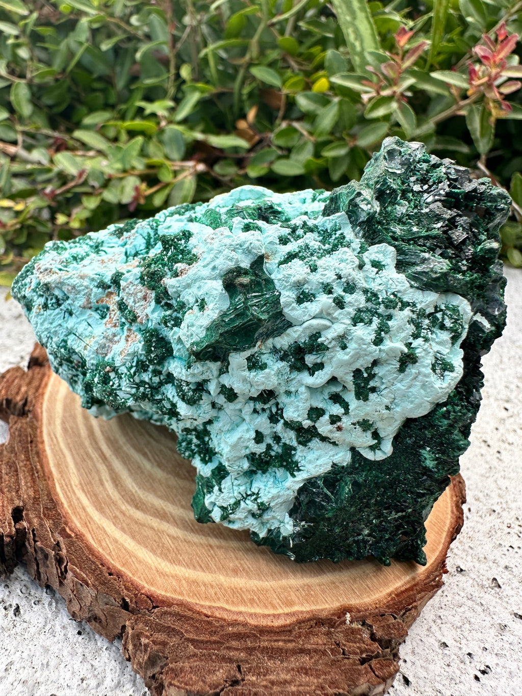 Malachite w/ Libethenite & Chrysocolla  image 1