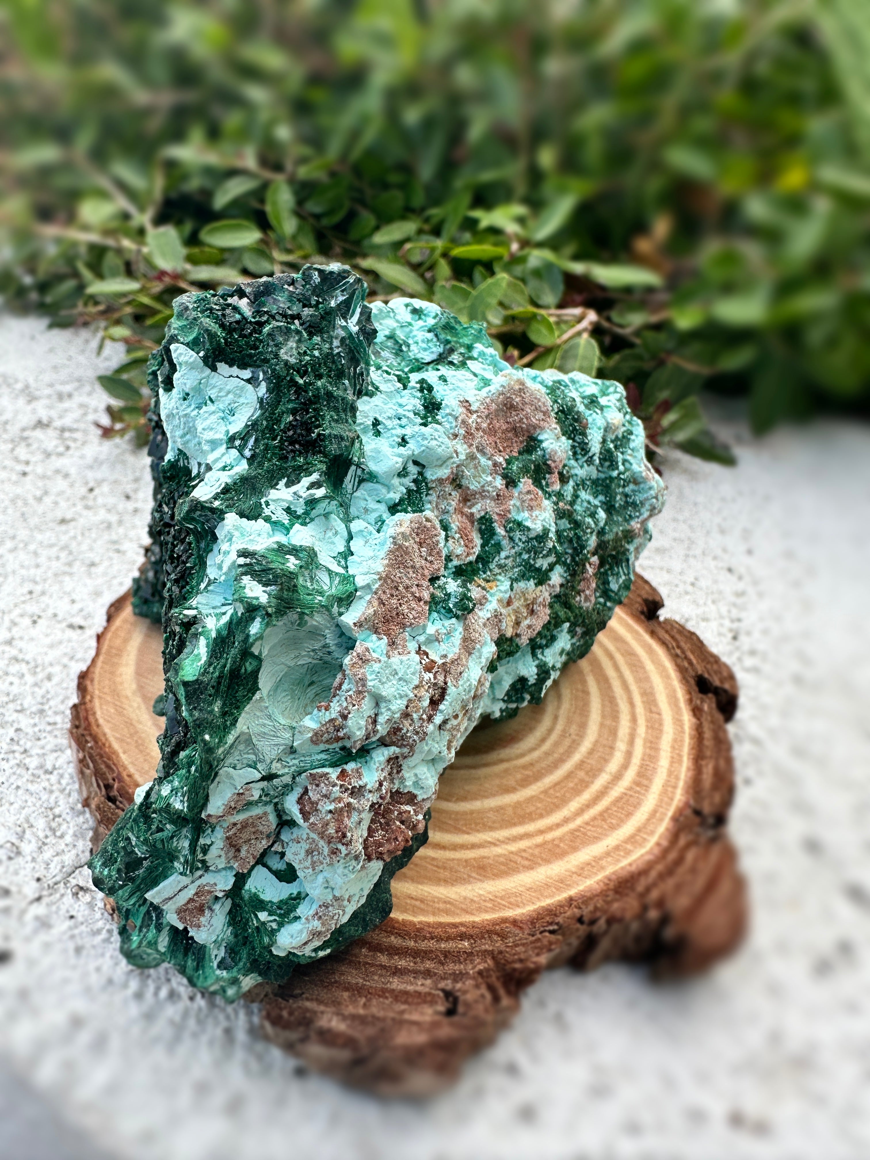 Malachite w/ Libethenite & Chrysocolla  image 4
