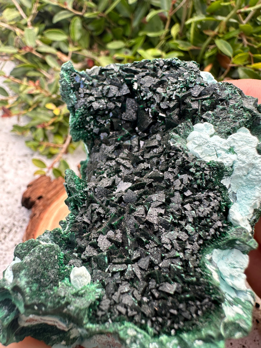 Malachite w/ Libethenite & Chrysocolla  image 0