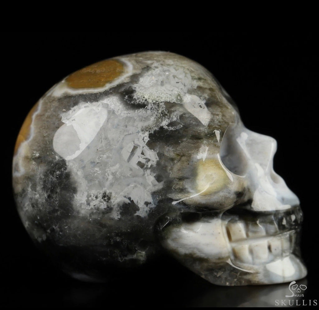Ocean Jasper Skull