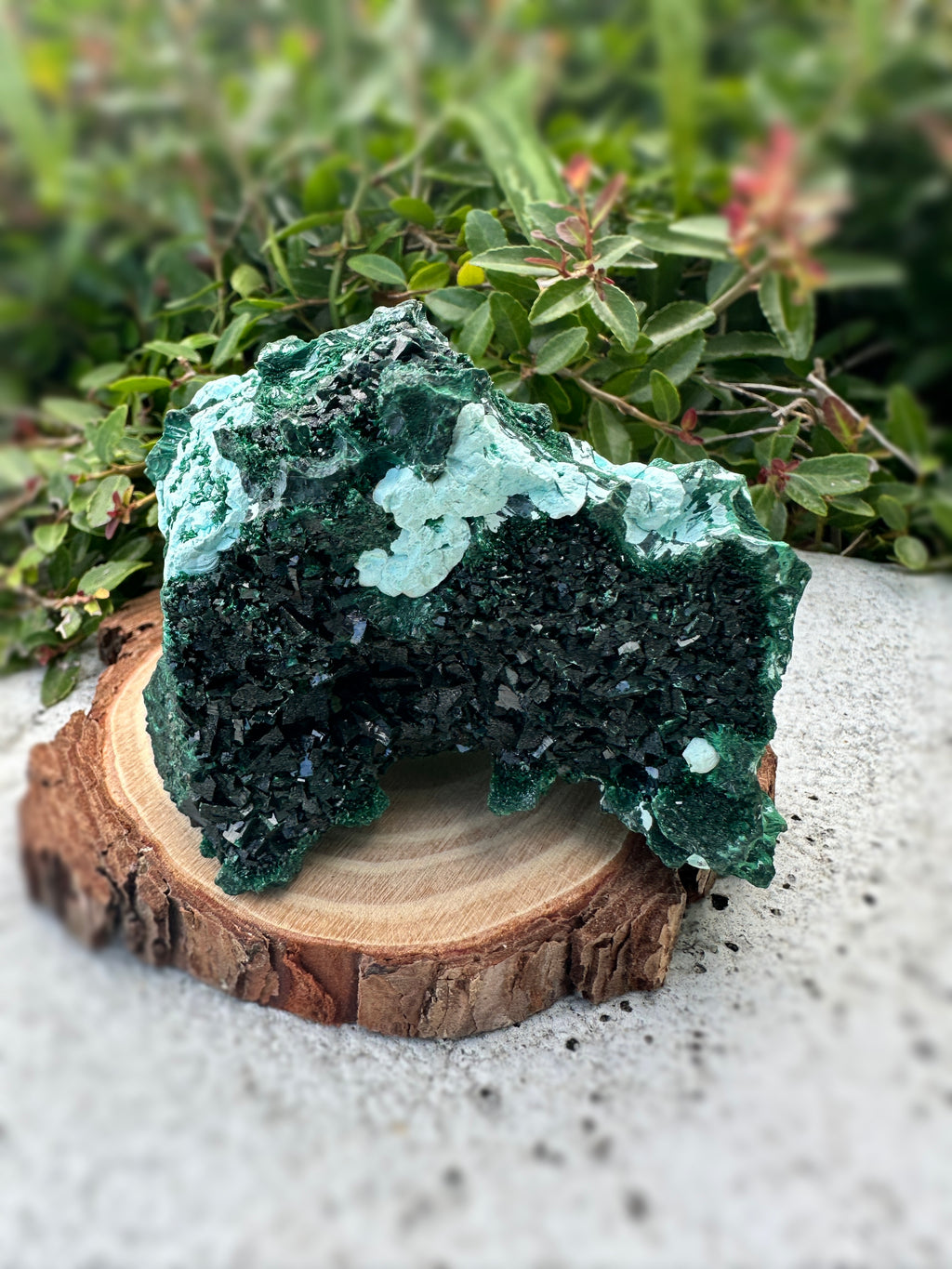 Malachite w/ Libethenite & Chrysocolla  image 2
