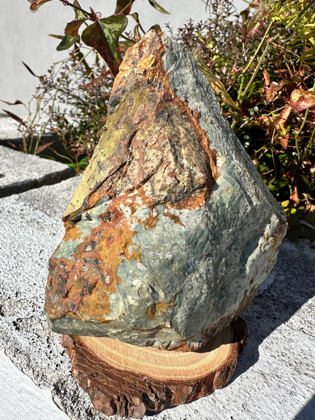 Rocky Butte picture jasper  image 1