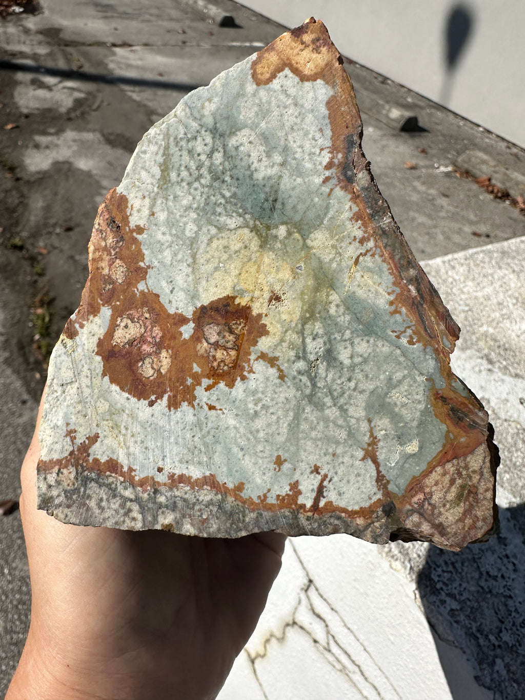 Rocky Butte picture jasper  image 4