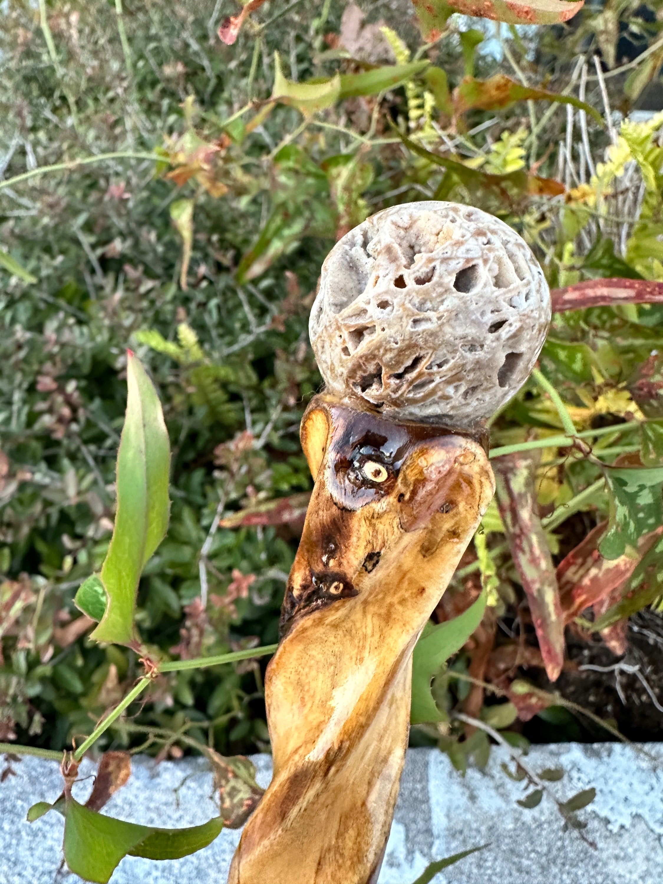 Druzy calcite wand  image 1