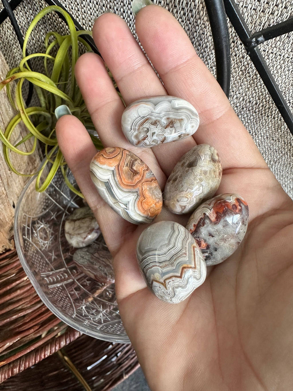 Crazy lace tumble  image 1