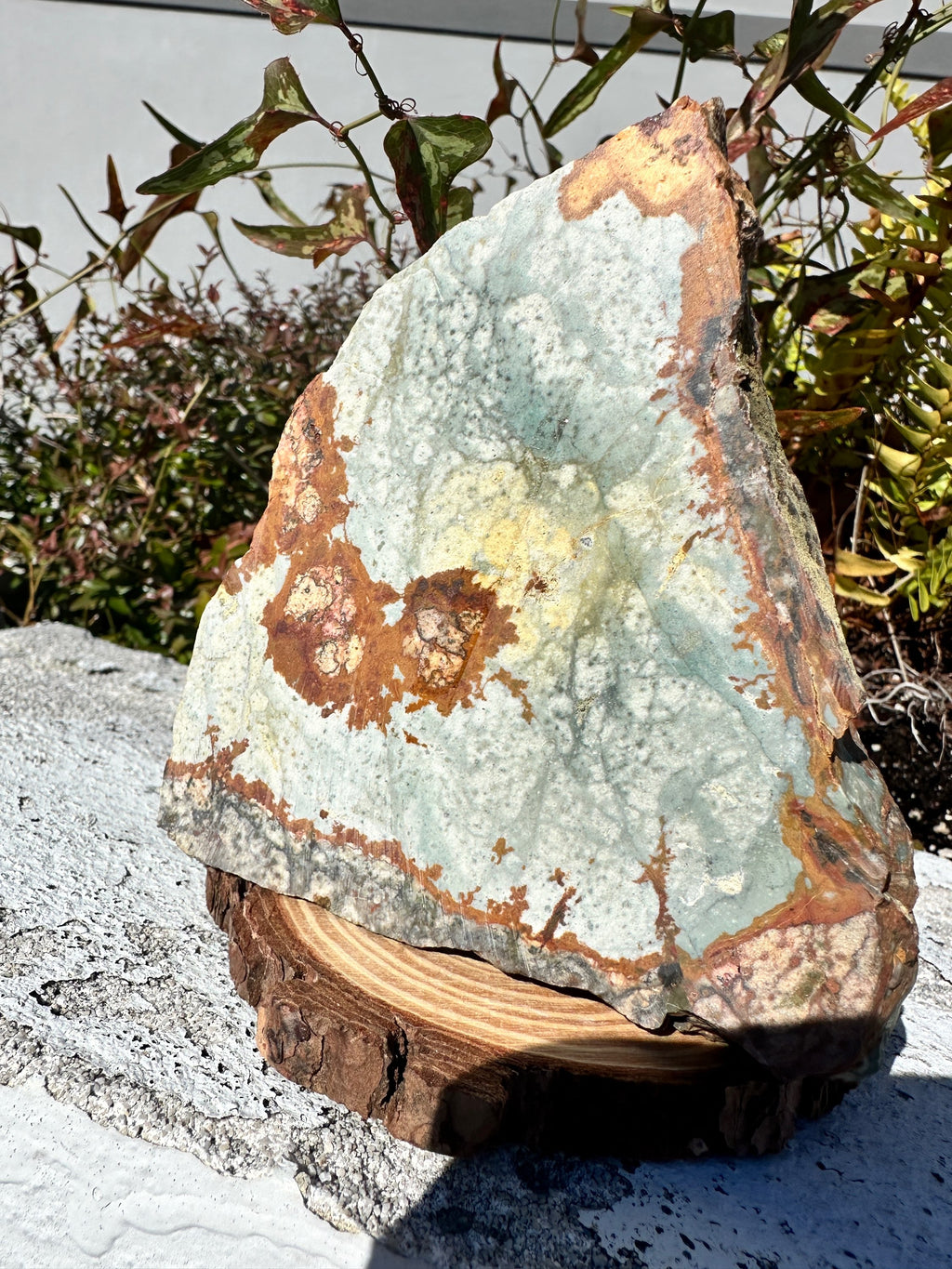 Rocky Butte picture jasper  image 0