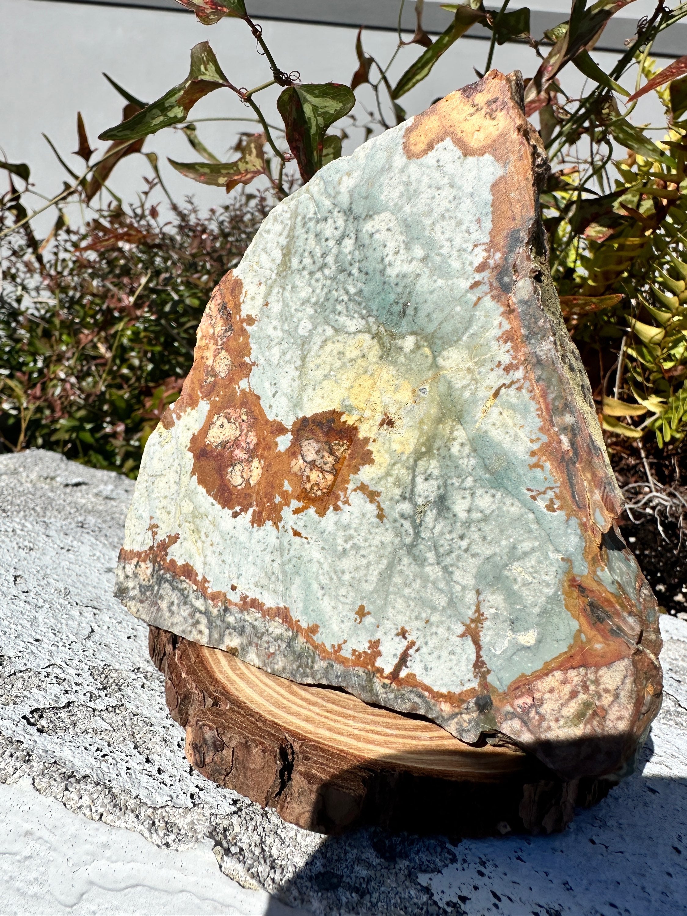 Rocky Butte picture jasper  image 0